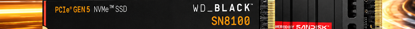 WD Black SN8100 Review: PCIe 5.0 NVMe SSD Performance and Thermals
