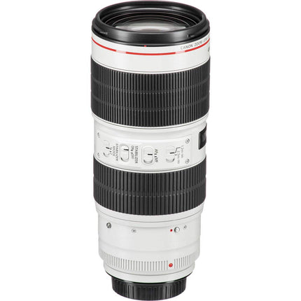 Canon EF 70-200mm f/2.8L IS III USM Lens - Telephoto Zoom Lens - 3.5-stop Image Stabilizer