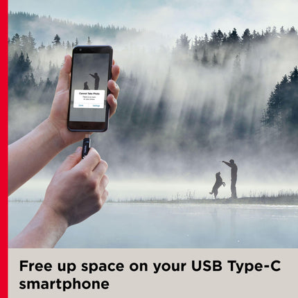 SanDisk Ultra Dual Drive Go 64GB Dual USB-C/USB-A USB 3.1 USB Flash Drive