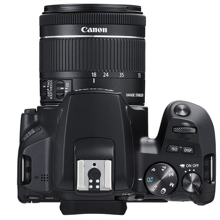 Canon EOS 250D + Canon EF-s 18-55mm f/4-5.6 IS STM Lens - Black